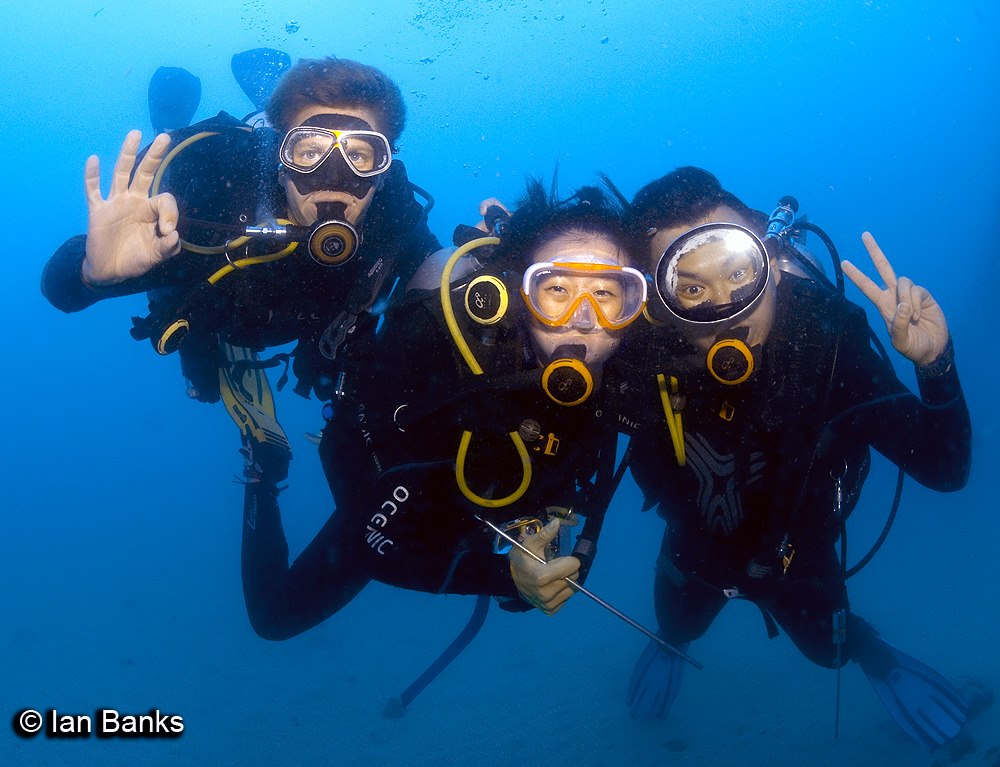 Diving the Gold Coast FB pic:6