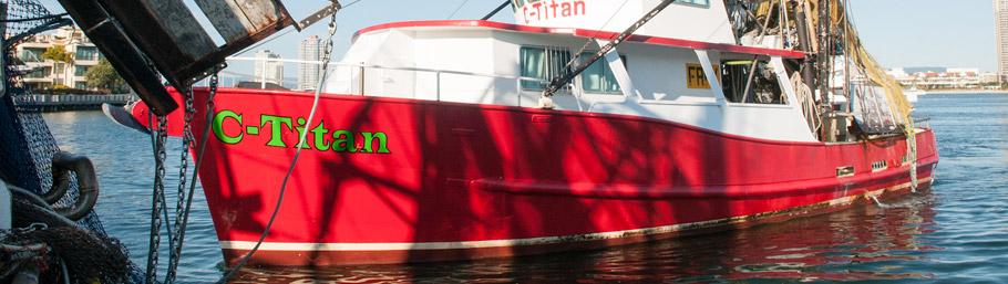 Gold Coast Fishermans Co-op :1